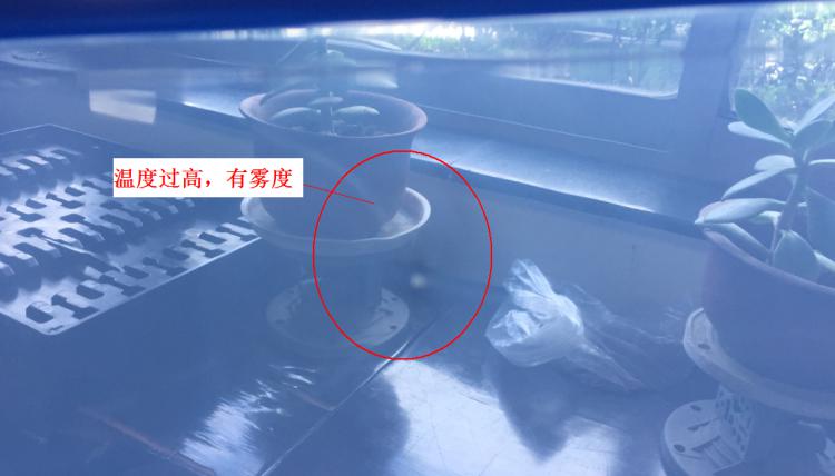 注塑制品質(zhì)量缺陷分析（六）造成制品表面有霧度的主要原因是什么？
